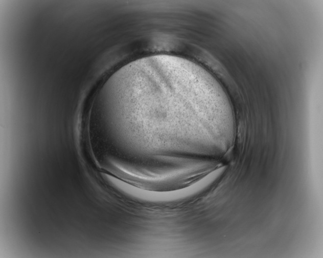 X0000088440722200706121508