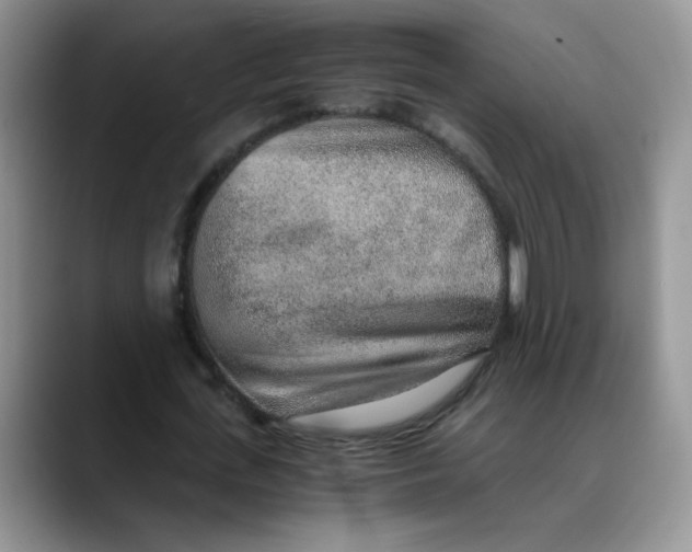X0000088440723200706121508