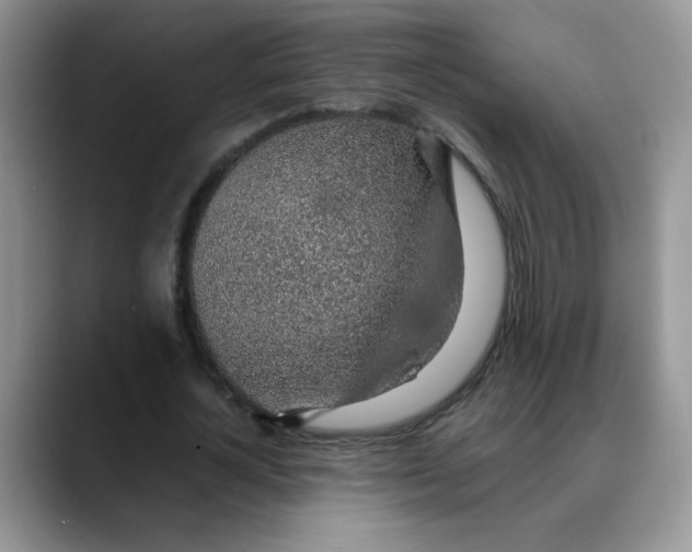 X0000088440724200706121508