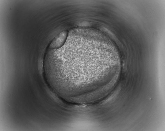 X0000088440725200706121508