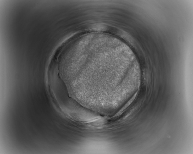 X0000088440726200706121508