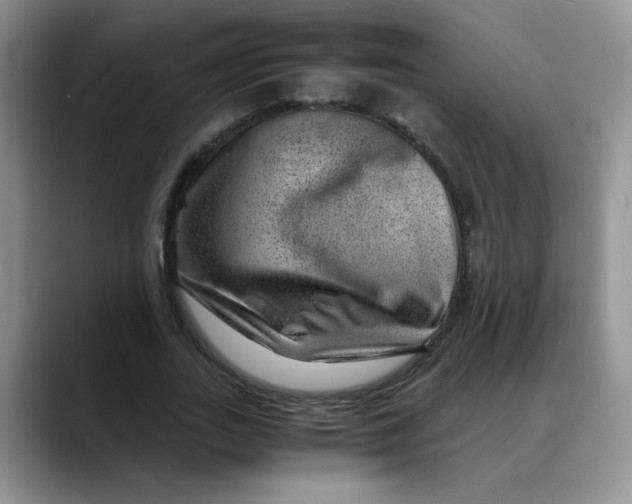 X0000088440727200706121508