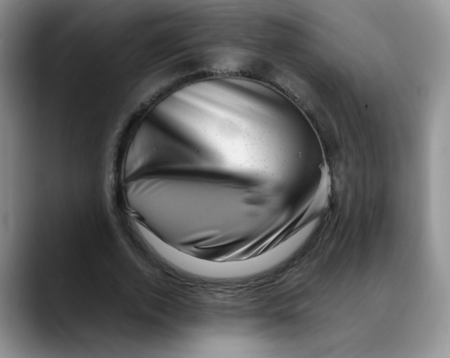 X0000088440728200706121508