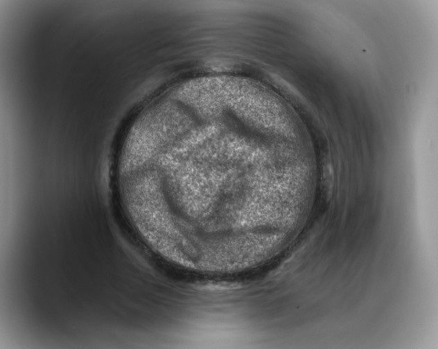 X0000088440730200706121508