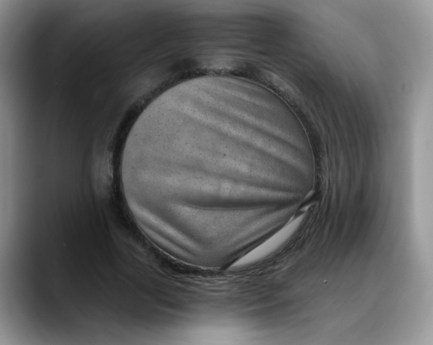 X0000088440731200706121508