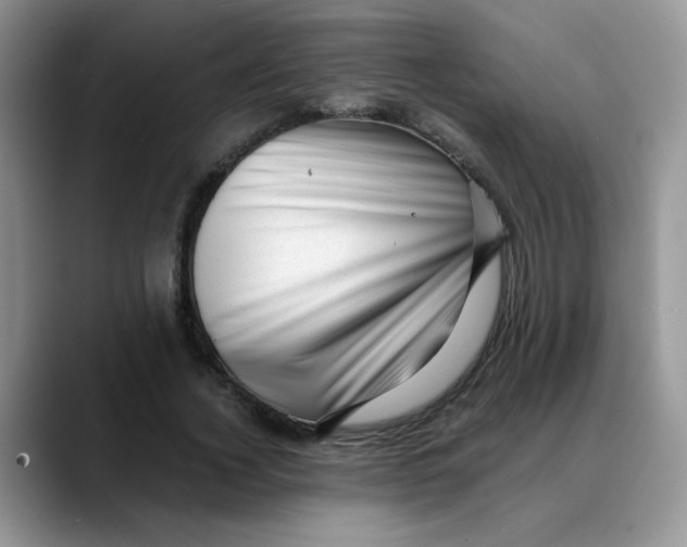 X0000088440732200706121508