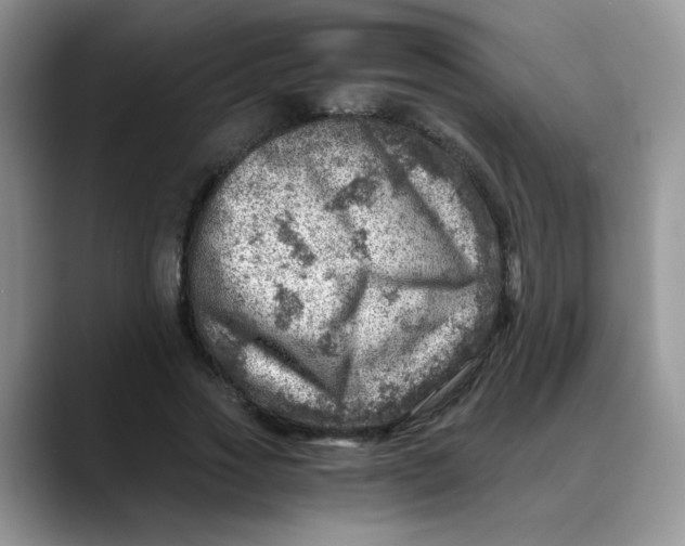 X0000088440733200706121508