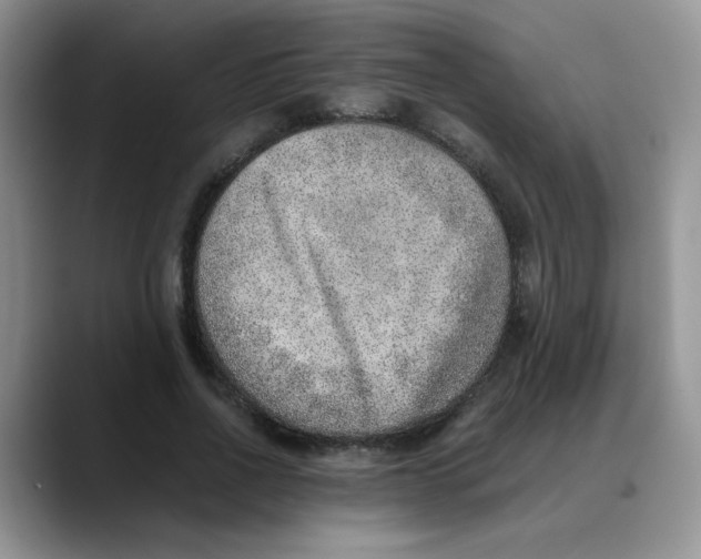 X0000088440734200706121508