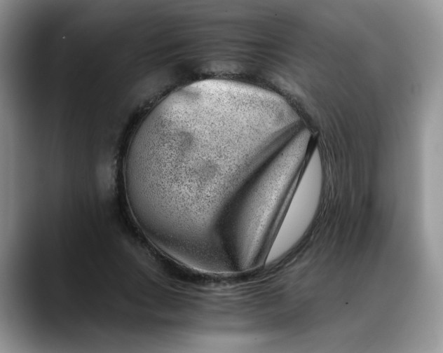 X0000088440735200706121508