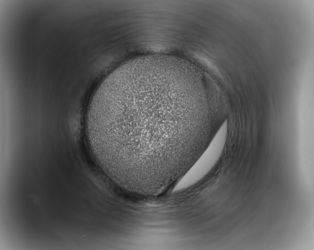 X0000088440736200706121508