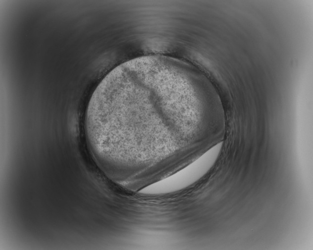 X0000088440738200706121508