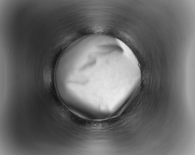 X0000088440740200706121508
