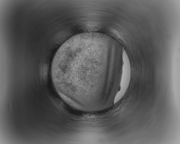 X0000088440742200706121508