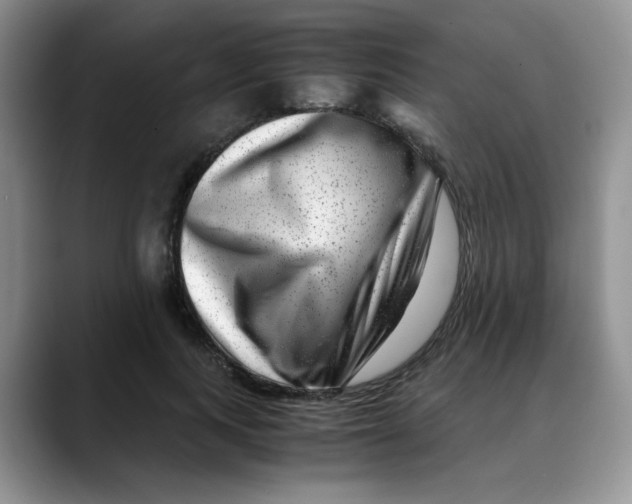 X0000088440743200706121508