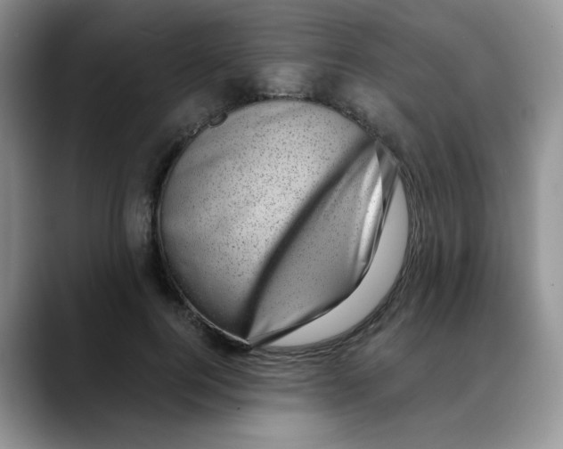 X0000088440744200706121508