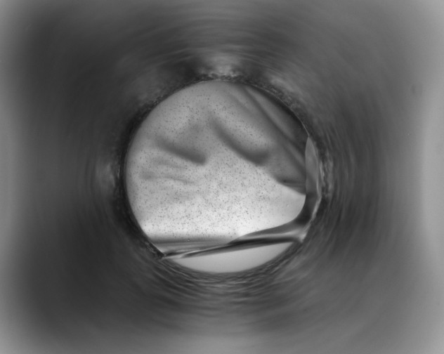 X0000088440747200706121508