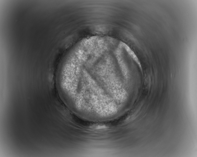 X0000088440749200706121508