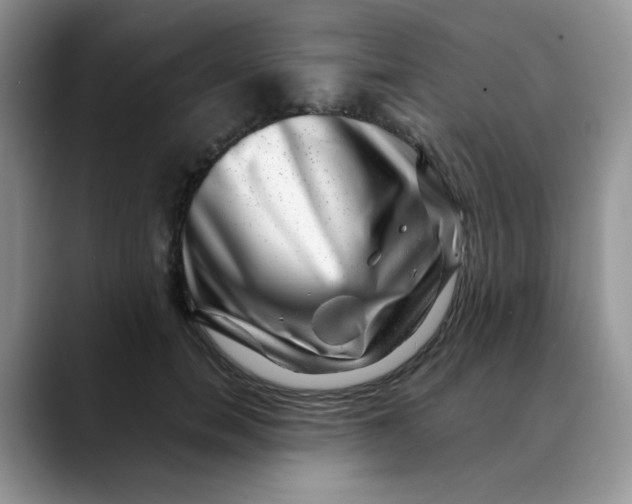 X0000088440750200706121508
