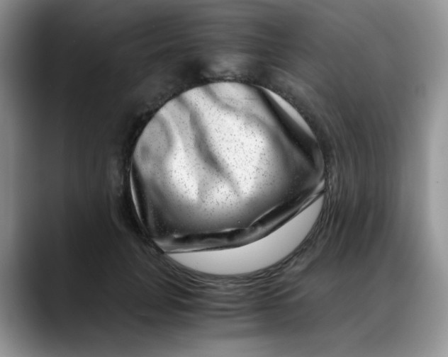 X0000088440751200706121508