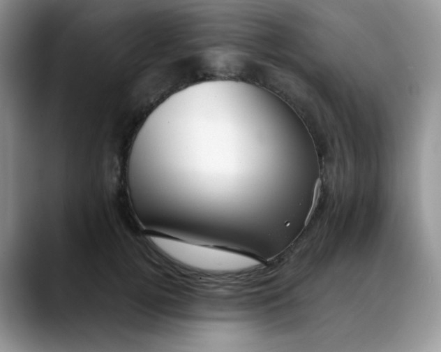 X0000088440752200706121508