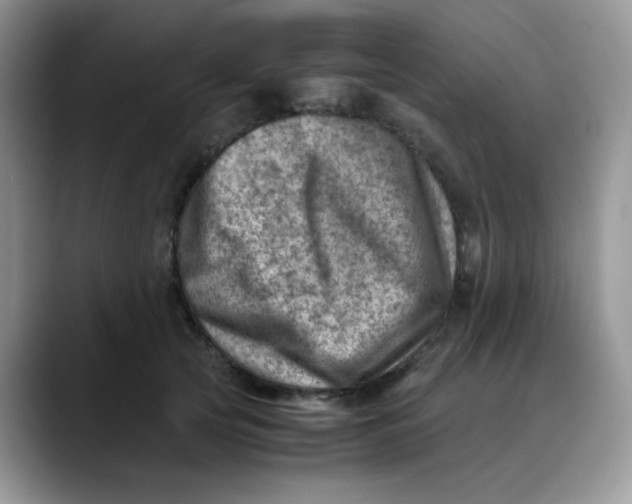 X0000088440753200706121508