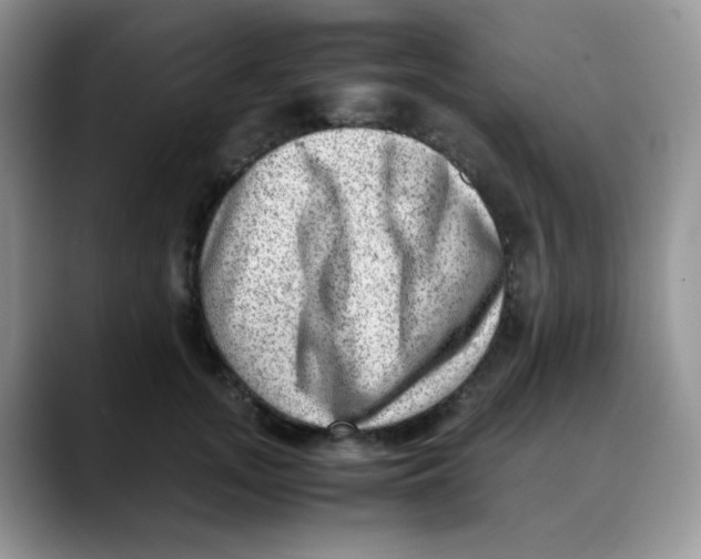 X0000088440755200706121508