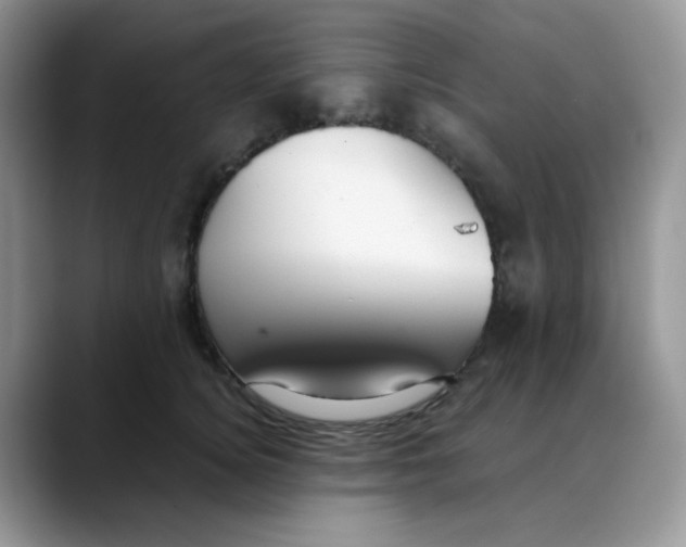 X0000088440756200706121508