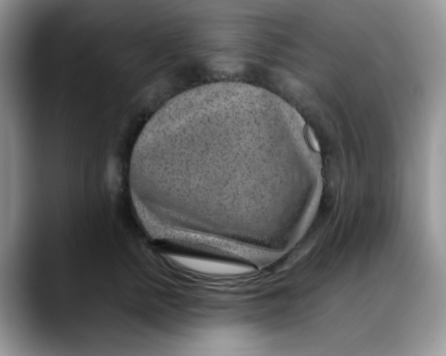 X0000088440758200706121508