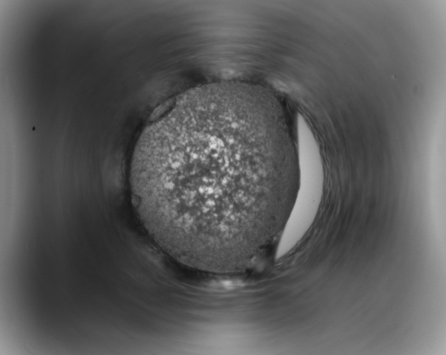 X0000088440760200706121509