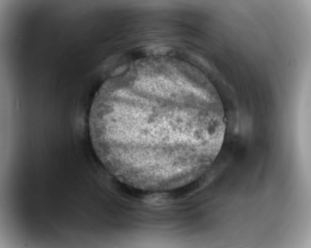 X0000088440761200706121509