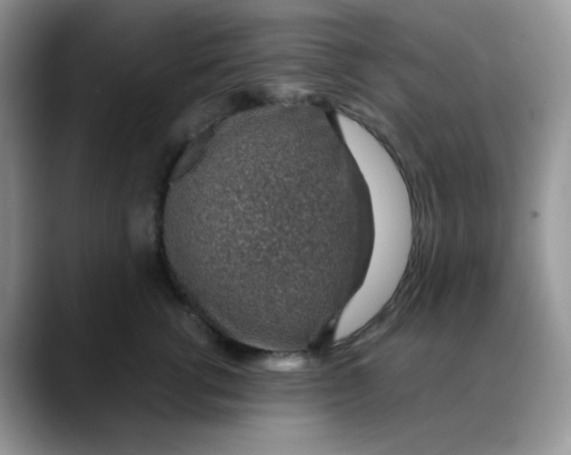 X0000088440762200706121509