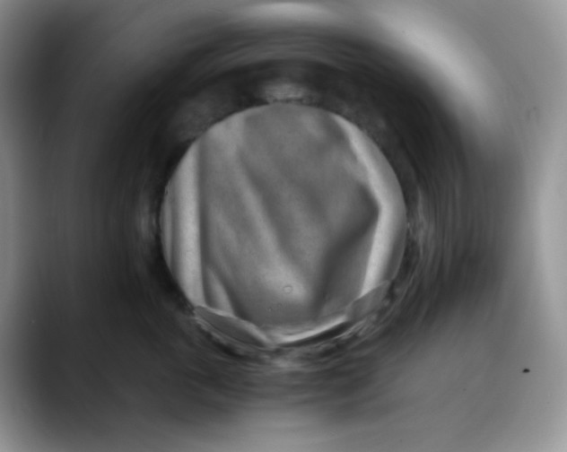 X0000088440763200706121509
