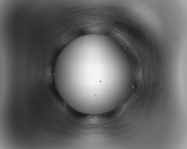 X0000088440764200706121509