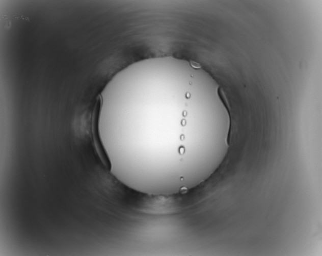 X0000088440768200706121509