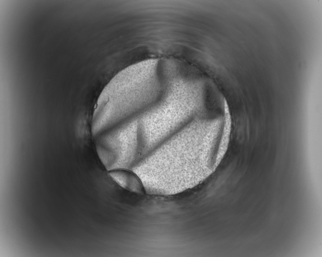 X0000088440770200706121508