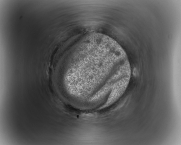 X0000088440771200706121508