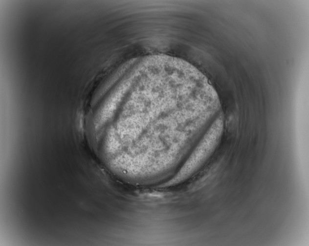 X0000088440772200706121508