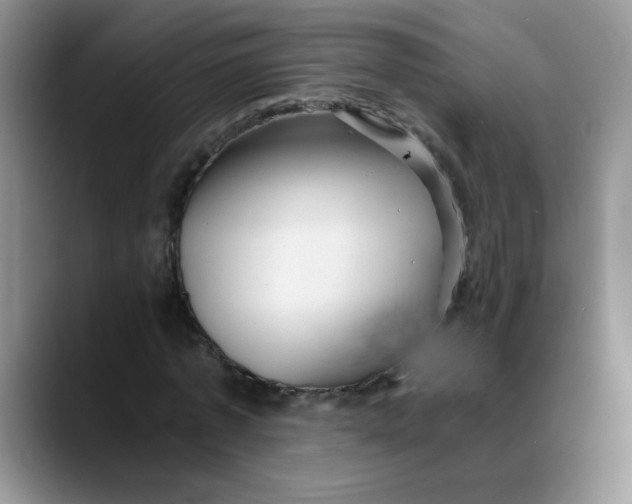 X0000088440773200706121508