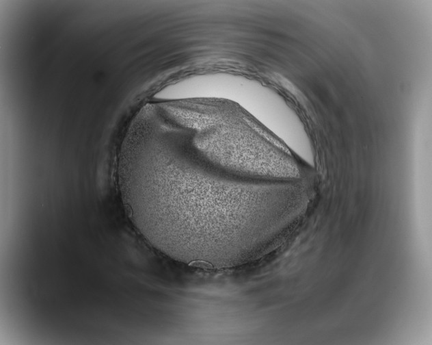 X0000088440775200706121508
