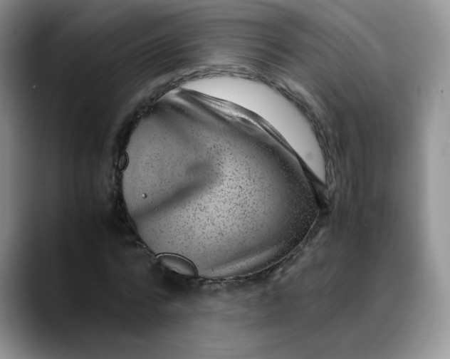 X0000088440776200706121508