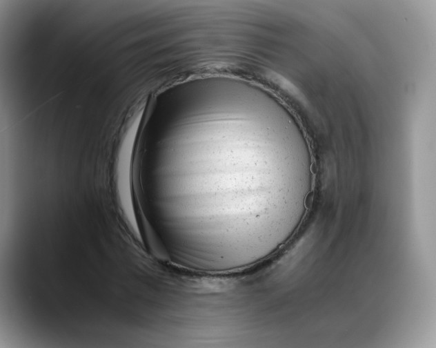 X0000088440777200706121508