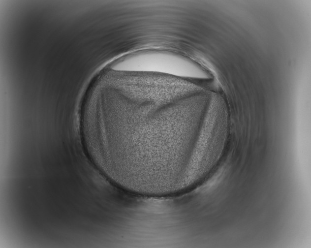 X0000088440779200706121508