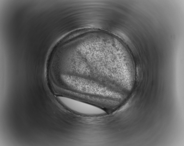 X0000088440780200706121508