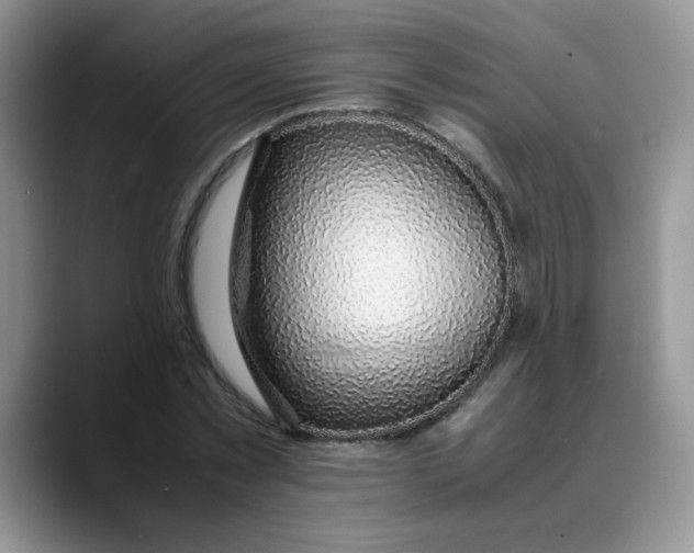 X0000088440781200706121508