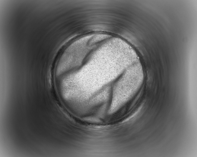 X0000088440782200706121508