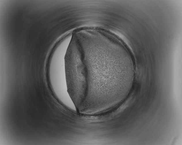 X0000088440783200706121508