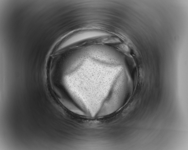 X0000088440784200706121508