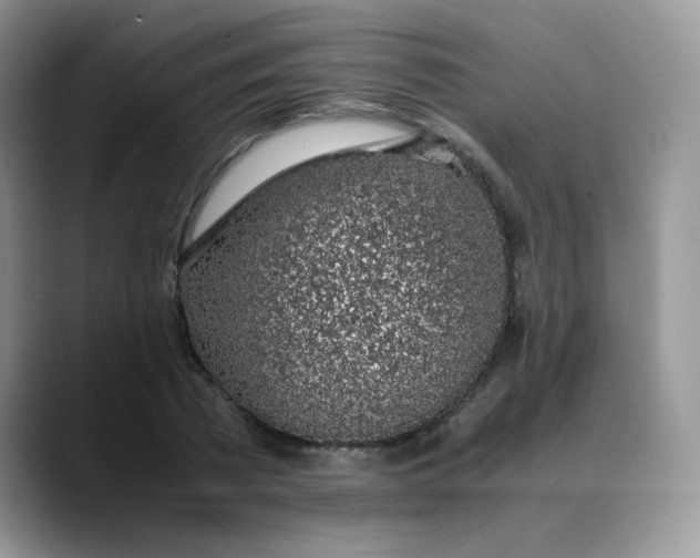 X0000088440785200706121508