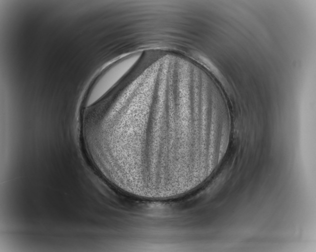 X0000088440787200706121508