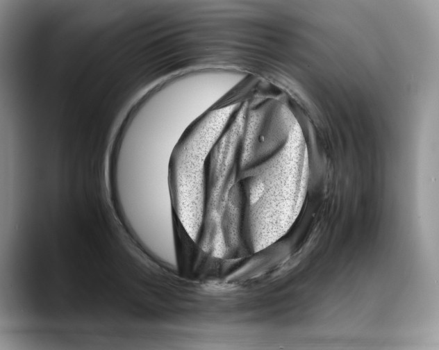 X0000088440788200706121508